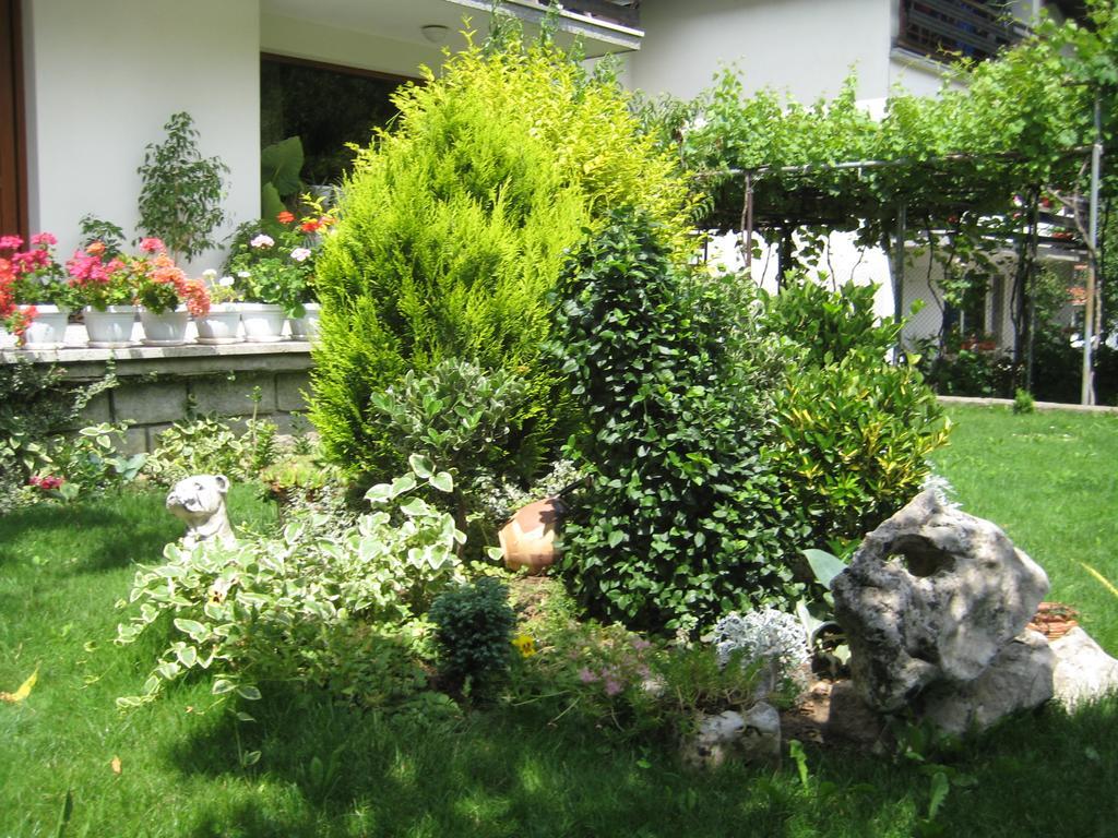 Slavina Guest House Sapareva Banya Ngoại thất bức ảnh